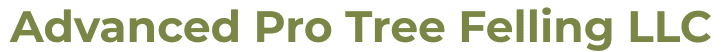Advanced Pro Tree Felling LLC